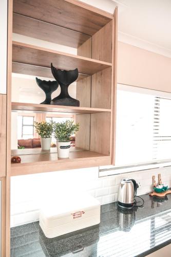 a kitchen with wooden cabinets with potted plants on the counter at Hermanus Reefs in Hermanus