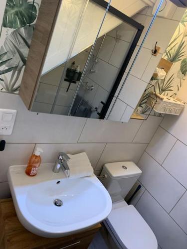 une salle de bain avec un lavabo et un miroir et des toilettes dans l'établissement Gite Le 38 à Goetzenbruck, chez Barbara, 53m2, à Goetzenbruck