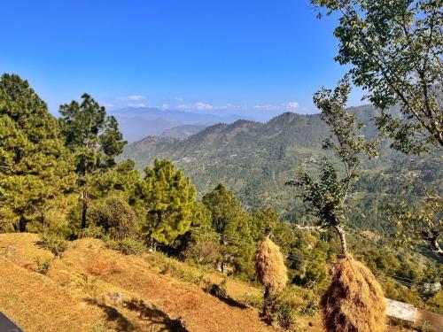 a view of a forest with mountains in the background at Vasantvasoj Homestay in Pauri