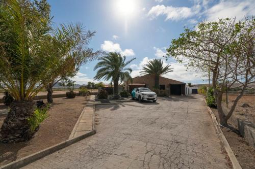 a car parked in a driveway with palm trees at Casa Areia Dourada by An Island Apart in Porto Santo