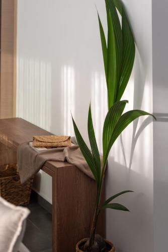a potted plant sitting on a wooden table at Prive Studio in Thessaloniki