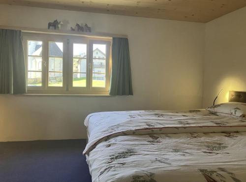 a bedroom with a bed and a window at Casa Vanellus / Vignogn / Val Lumnezia / near Laax in Vigens