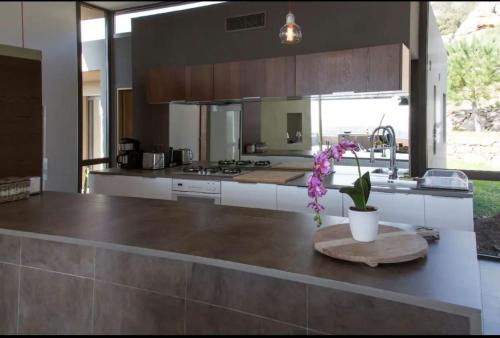 - une cuisine avec un comptoir et un vase de fleurs dans l'établissement Villa Standing Palombaggia 10 personnes vue mer, piscine, à Porto-Vecchio