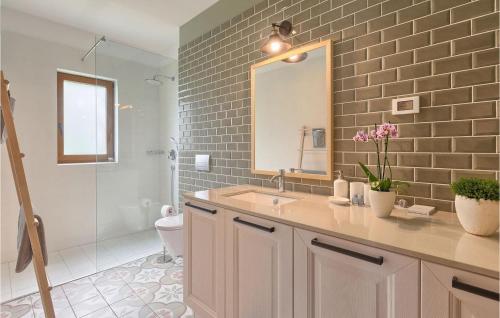 a bathroom with a sink and a mirror and a toilet at Villa Brih Iii in Motovun