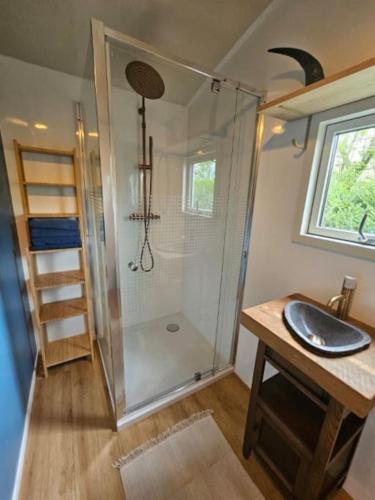 a bathroom with a shower and a sink at Cosy Cabin in Scharendijke
