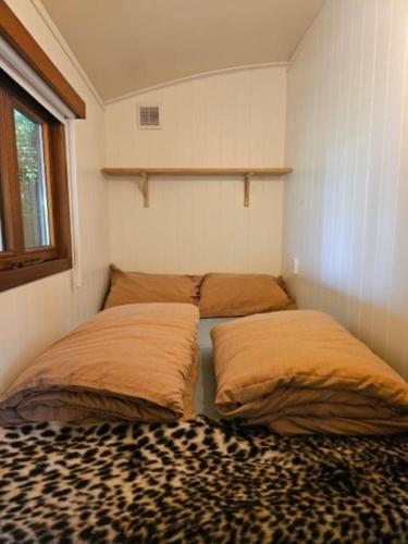a room with two pillows on a bed with a leopard rug at Cosy Cabin in Scharendijke
