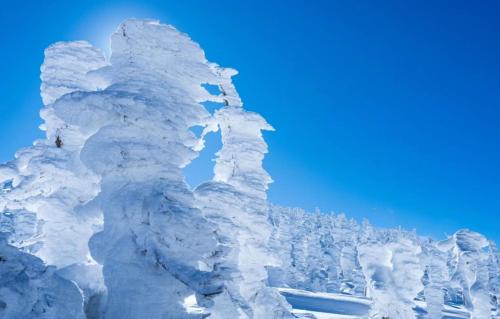 a snow covered tree with a blue sky in the background at Snowfall Meteor 飛雪流星 in Kaminoyama