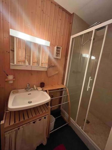 une salle de bain avec un lavabo et une douche dans l'établissement Le Cocon de l'Alpes, à Huez