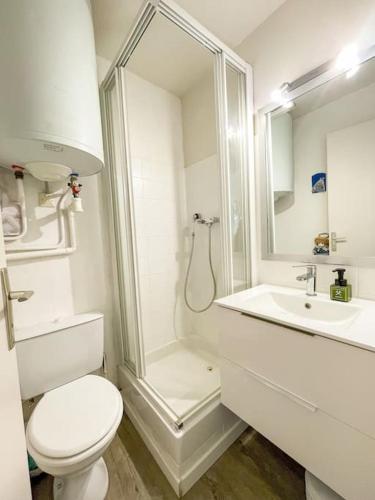 une salle de bain avec une douche, des toilettes et un lavabo dans l'établissement Charmant T2 avec terrasse vue mer, à Bandol