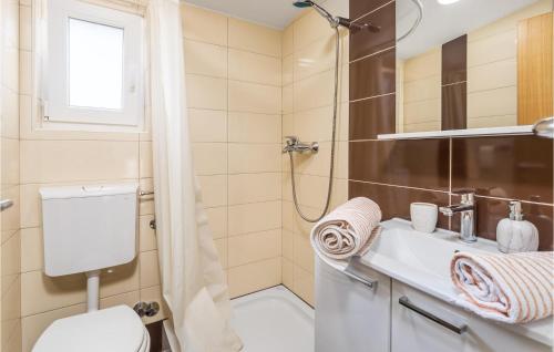 Ένα μπάνιο στο Cozy Home In Zubovici With Wifi
