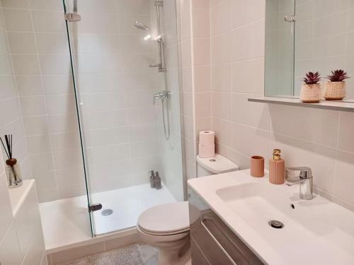 une salle de bain avec toilettes, douche et lavabo dans l'établissement Auvergne mon amour, à Clermont-Ferrand