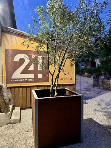a tree in a black planter in front of a building at Le gîte 24 proche du Futuroscope - Jacuzzi compris in Beaumont