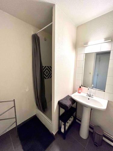 une salle de bain avec un lavabo et une douche dans l'établissement Chez Jean, Studio cosy, à Toulouse
