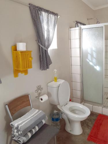 a bathroom with a toilet and a shower at Karoo Pomp in Vosburg