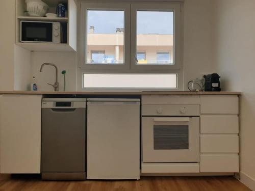 une cuisine avec un évier et un lave-vaisselle dans l'établissement Le Nid de Metz, à Metz