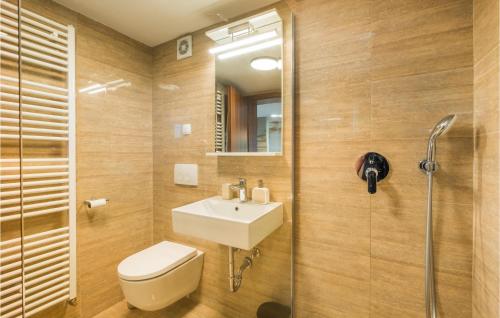 a bathroom with a sink and a toilet and a shower at Beautiful Home In Bedenica With Sauna in Bedenica