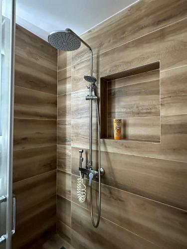 ニシュにあるCozy Apartment 'Nest'の木製の壁の浴室のシャワー