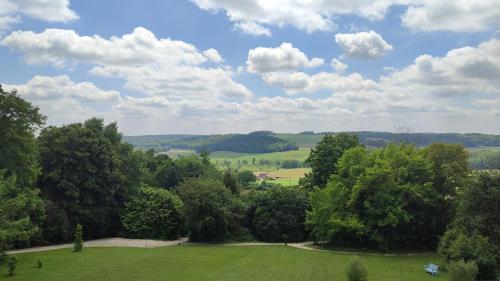 an aerial view of a green field with trees at Demeure de la Garenne in Montmirail