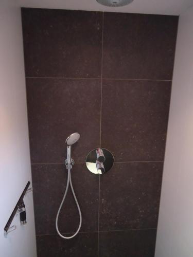 a shower with a shower head and a mirror at Aan de Amstel in De Hoef