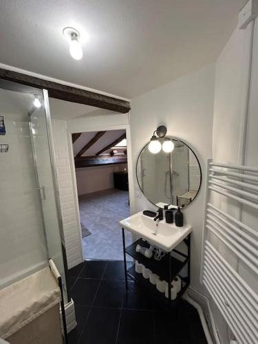 une salle de bain avec un lavabo et un miroir dans l'établissement Le cozy, Jean Jaurès, à Toulouse