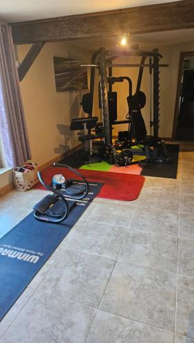 a room with a gym with two tread machines at The Lions Den - La Loge Guest House in Mantilly
