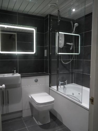 a bathroom with a toilet and a shower and a sink at Edinburgh Old Town Apartment in Edinburgh