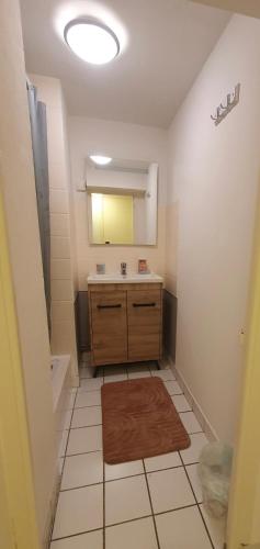 une salle de bain avec un lavabo et un miroir dans l'établissement Studio centre ville Angers, à Angers