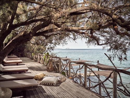 a wooden pathway leading to the ocean under a tree at Gloria Maris Hotel Suites and Villas in Laganas