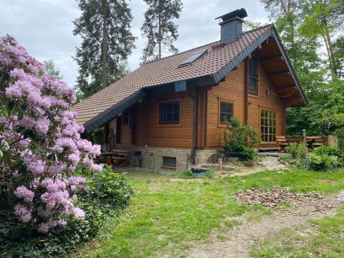 Zahrada ubytování Waldhaus Eichhörnchen