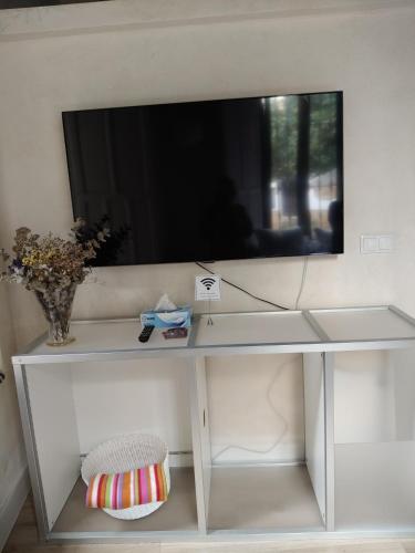 APARTAMENTOS SANTA CRUZ, centro
