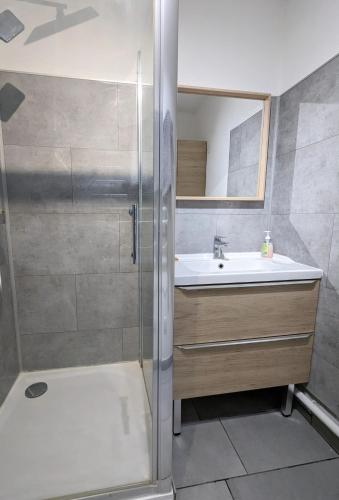 une salle de bain avec douche et lavabo dans l'établissement Le Clairvaux - Proche centre avec 1 place en parking souterrain, à Dijon