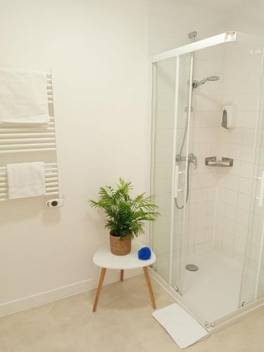 a bathroom with a shower with a plant on a stool at Résidence New Rochelle in La Rochelle