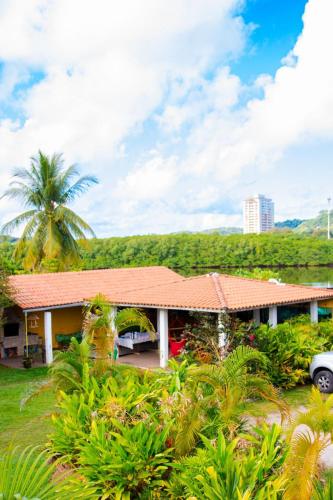 a house with a palm tree in front of it at Pousada Éden Rio in Ilhéus