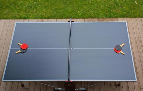 a ping pong table with two ping pong balls on it at Villa Vigneto in Brtonigla