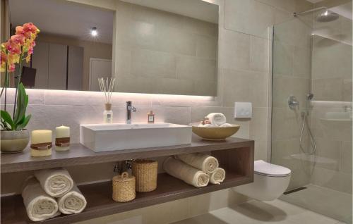 a bathroom with a sink and a toilet and a shower at Villa Vigneto in Brtonigla