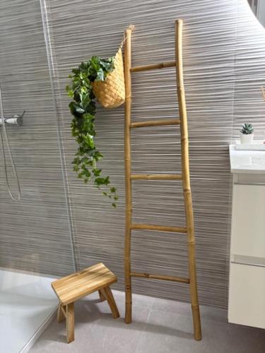 Loft Cinco