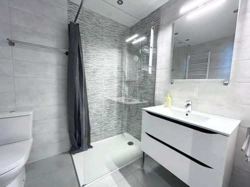 une salle de bain avec un lavabo, une douche et des toilettes dans l'établissement Appartement neuf Mulhouse, à Mulhouse