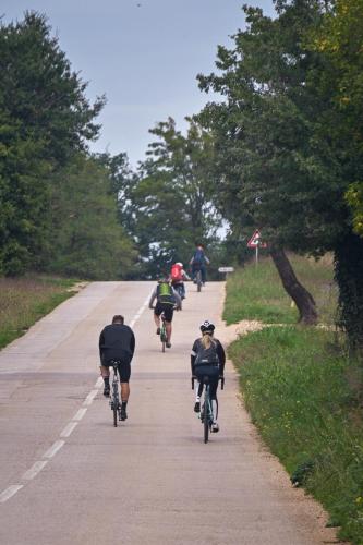 a group of people riding bikes down a road at Star Apartments in Tar