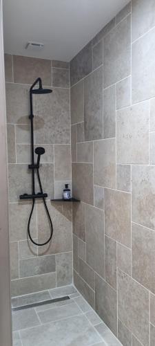 a bathroom with a shower with a shower head at Les terres de Marie - Logements calmes et modernes in La Haye-en-Lyons