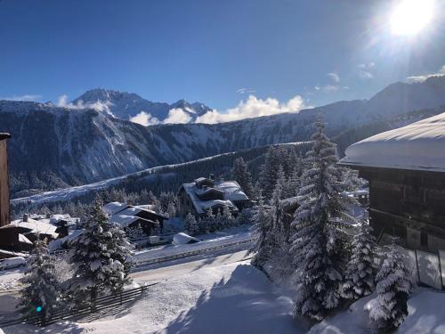 Courchevel 1850 - 4 personnes - ski aux pieds - wifi gratuit