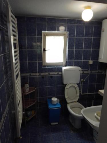 a bathroom with a toilet and a sink and a window at Sobe za izdavanje Nedeljković in Lukovo