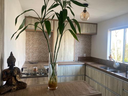 a vase with a plant sitting on a table in a kitchen at Villa A with Sea View in Garopaba