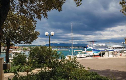 a couple of boats docked in a harbor at Lovely Home In Rasopasno With Wifi in Rasopasno