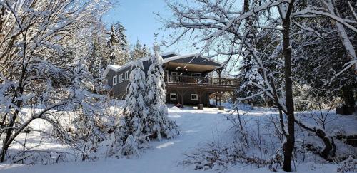 ein Haus im Schnee mit schneebedeckten Bäumen in der Unterkunft Entre Monts et Lac - lac - Lake front & Volleyball in Saint Adolphe D'Howard