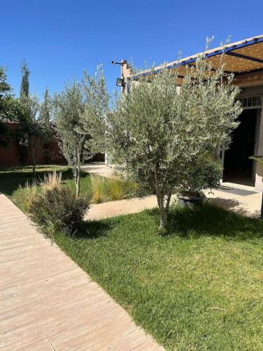 two trees in a yard next to a building at Villa Privée 1 Marrakech Piscine Chauffée En Option Sans Vis-à-vis pour famille et couple marié uniquement in Marrakech