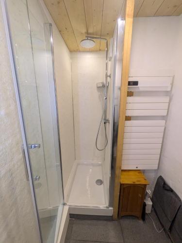 La salle de bains est pourvue d'une cabine de douche en verre. dans l'établissement Appartement 4 couchages ,plein sud calme, à Les Deux Alpes