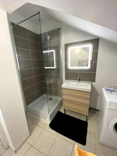 La petite salle de bains est pourvue d'une douche et d'un lavabo. dans l'établissement COSY 2 couchages - secteur SNCF - Parking, à Châlons-en-Champagne