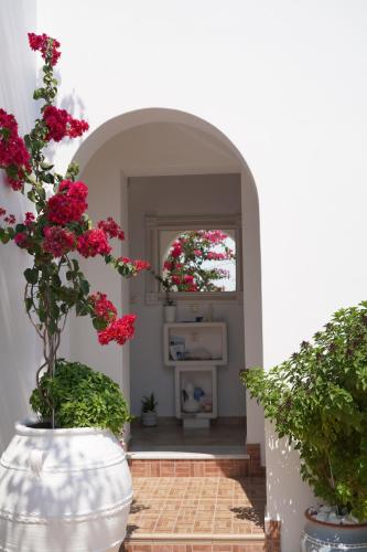 a hallway with two vases with red flowers in it at Aggelos Studios in Adamas