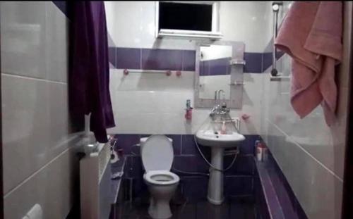 Un baño pequeño con inodoro y lavabo. en Dzoratun Dsegh, en Tumanyan