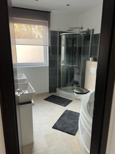 a bathroom with a shower and a tub and a toilet at Monika's Apartman in Érd